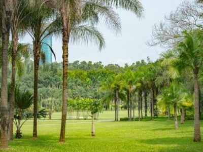 深圳莲花山音乐节2024时间