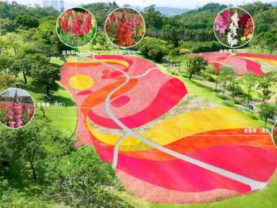 2025厦门园林植物园春节活动（限定免票+花海+花展+游园会）