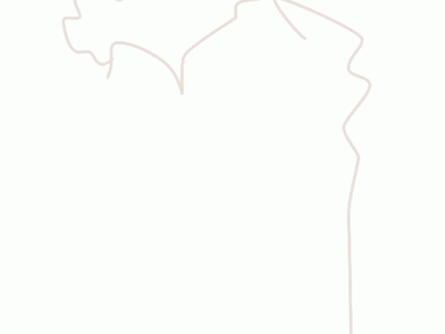 2024华山开放时间