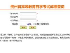 2024下半年贵州自考成绩什么时候公布?