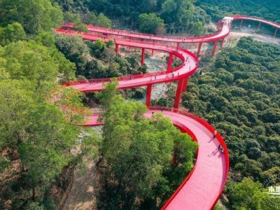 深圳虹桥公园有什么好玩的景点