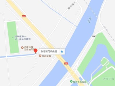 南京浦口向日葵花海在什么地方