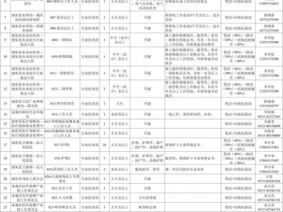 射阳县2024年公开招聘第二批政府购买服务工作人员岗位表