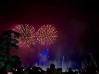 2025珠海长隆海洋王国早鸟票和普通票的区别