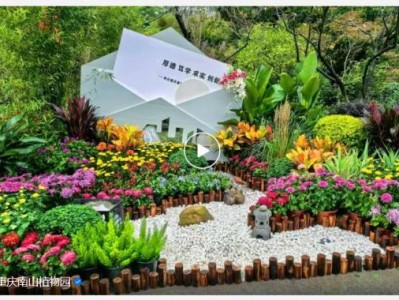 2024重庆第26届菊花展什么时候开始?