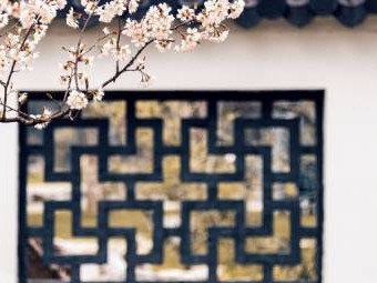 南京樱花什么时候去比较好