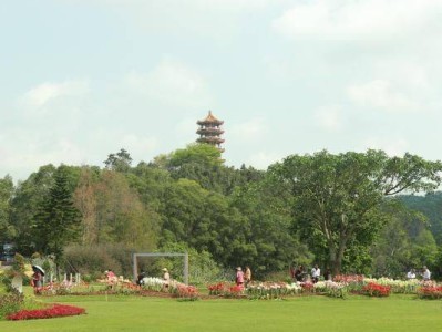 仙湖植物园内的塔叫什么塔