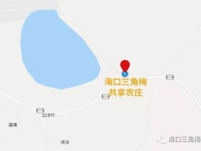 2025海口春节三角梅共享农庄村晚活动(时间+地点+活动)