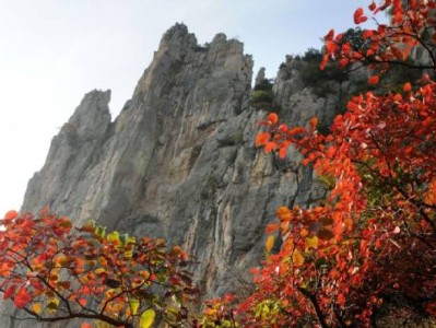 2024巫山神女景区红叶观赏攻略（时间、门票、路线）