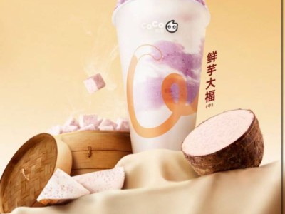 coco寻宝猜口令是什么?