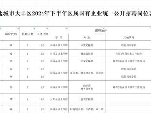 盐城大丰2024下半年区属国有企业招聘岗位