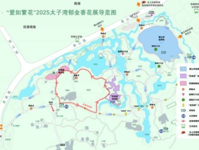 杭州太子湾郁金香什么时候开?