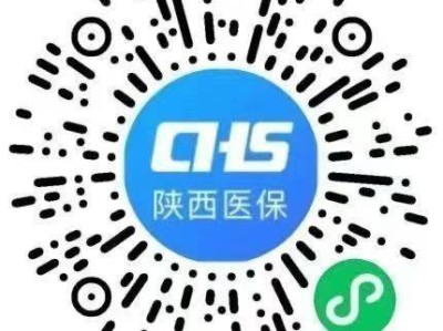 2025西安灵活医保开始缴费了吗？