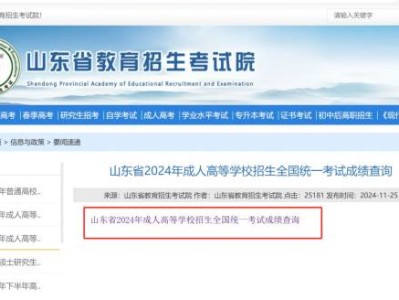 2024山东成人高考成绩现在可以查询吗?
