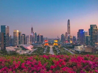 深圳马拉松2024比赛时间