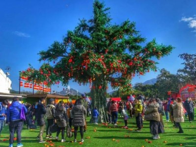 2025香港春节许愿节活动时间+地点+交通