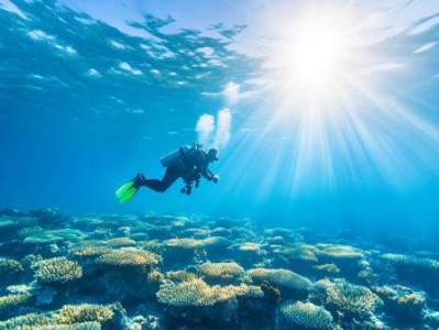 珠海万山群岛潜水黄金期是什么时候