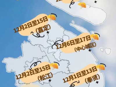 上海银杏观赏地全攻略(打卡地点+时间)