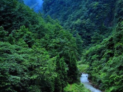 2024国庆节重庆万盛旅游景点推荐（门票+攻略）