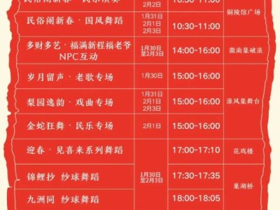 2025合肥徽园春节有什么活动(附节目单)