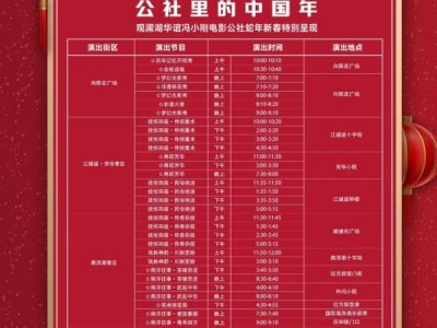 2025海口春节冯小刚电影公社金蛇舞春系列演出(时间+节目单)