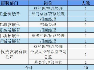 洋浦国际投资咨询有限公司人才招聘(岗位+报名+条件)