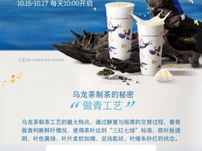 茶百道10月16日口令答案是什么