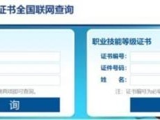 广州电子商务师职业技能等级证书考试成绩多久能查询?(附证书查询入口)