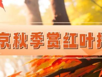 2024北京香山红叶节什么时候开始什么时候结束?