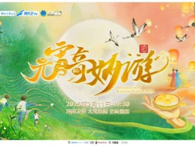 2025河南卫视元宵晚会什么时候播