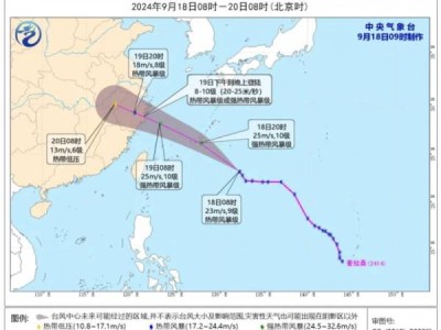 台风普拉桑对金华有什么影响