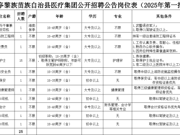 保亭黎族苗族自治县医疗集团2025年招聘(岗位+人数+招聘)