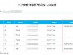 教资笔试成绩报告分是什么？