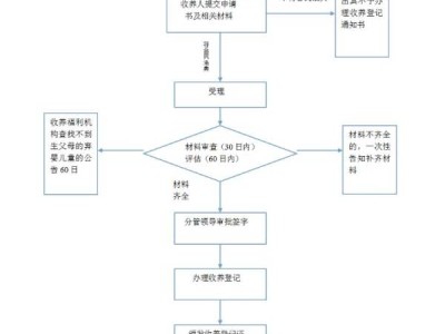 2023大同领养孩子流程图