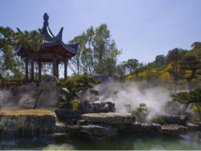 东莞植物园有什么好玩的地方?