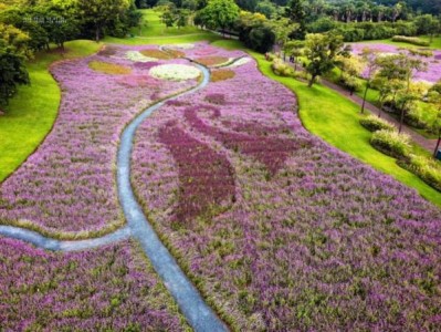 厦门园林植物园赏花攻略(持续更新)