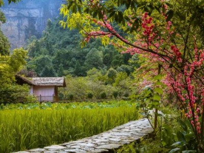 重庆酉阳桃花源什么时候去最合适?