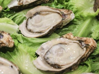 深圳食博会有哪些食品/有什么好吃的