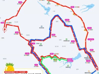 2025徐闻马拉松赛举办期间实行交通管理措施
