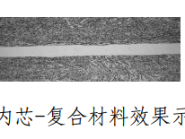 2024东北虎豹国家公园纪念币防伪特征