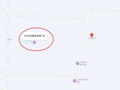 2024长葛大周镇大谷寺银杏树什么时候变黄