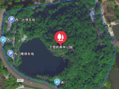 王借岗森林公园好玩吗?(附简介)