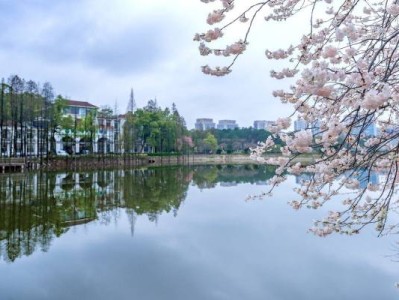 湖南省植物园游玩攻略(玩什么+门票预约+最新花展)