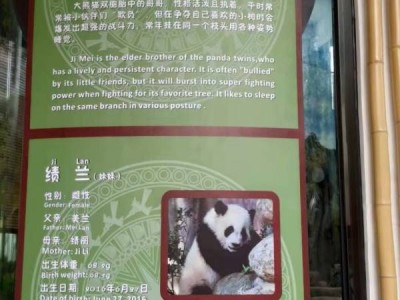 南宁动物园熊猫叫什么名字