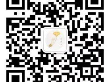 2024西安古观音禅寺银杏树最佳参观时间