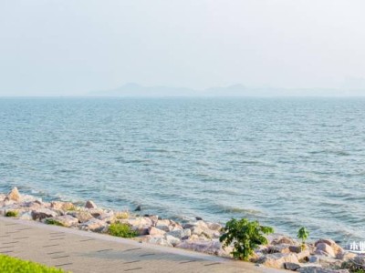 深圳湾公园国庆有灯光秀吗2024