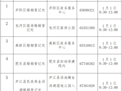 2025合肥元旦结婚登记需要携带什么材料