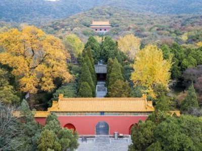 南京明孝陵石象路秋天景色什么时候最美