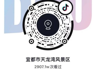 2024宜昌菊花艺术节怎么?
