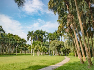 深圳东湖公园游乐场还有吗(拆了吗)